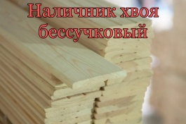 Наличник б/с 70мм хвоя 2.2м
